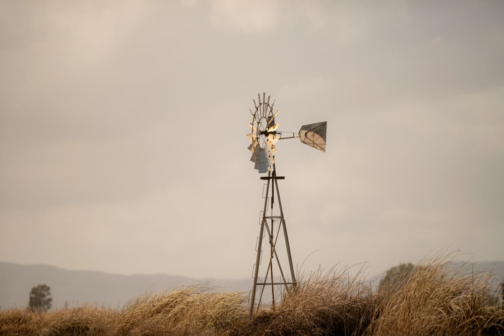 Old Farm Windmill by Crystal Lynn Collins — canvas wall art