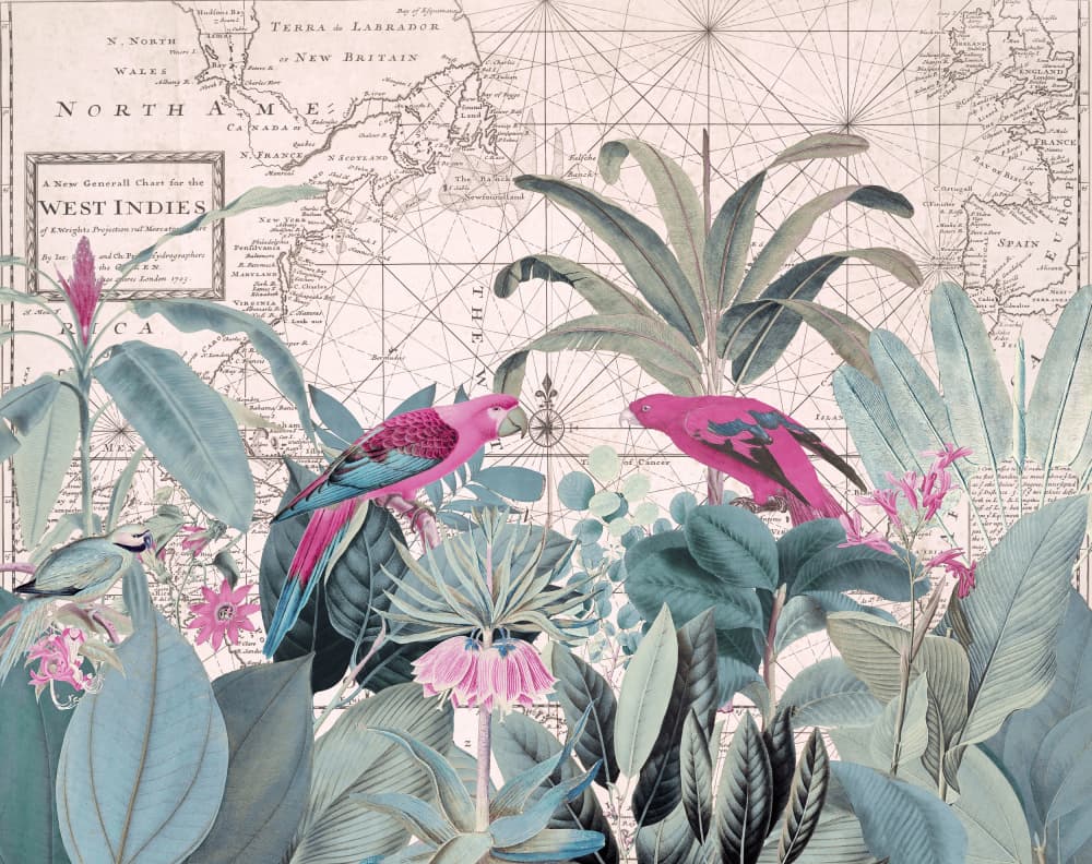 Tropical Map Parrots by Andrea Haase — canvas wall art
