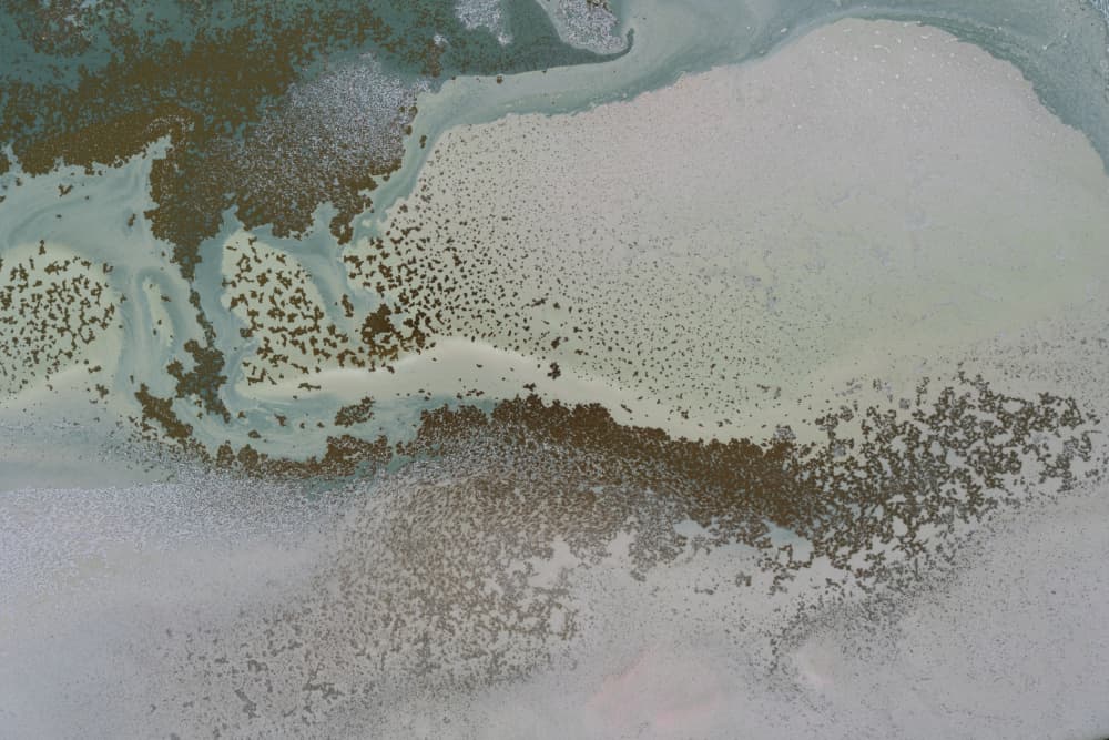 Drifting Shallows by Petra Meikle de Vlas — canvas wall art
