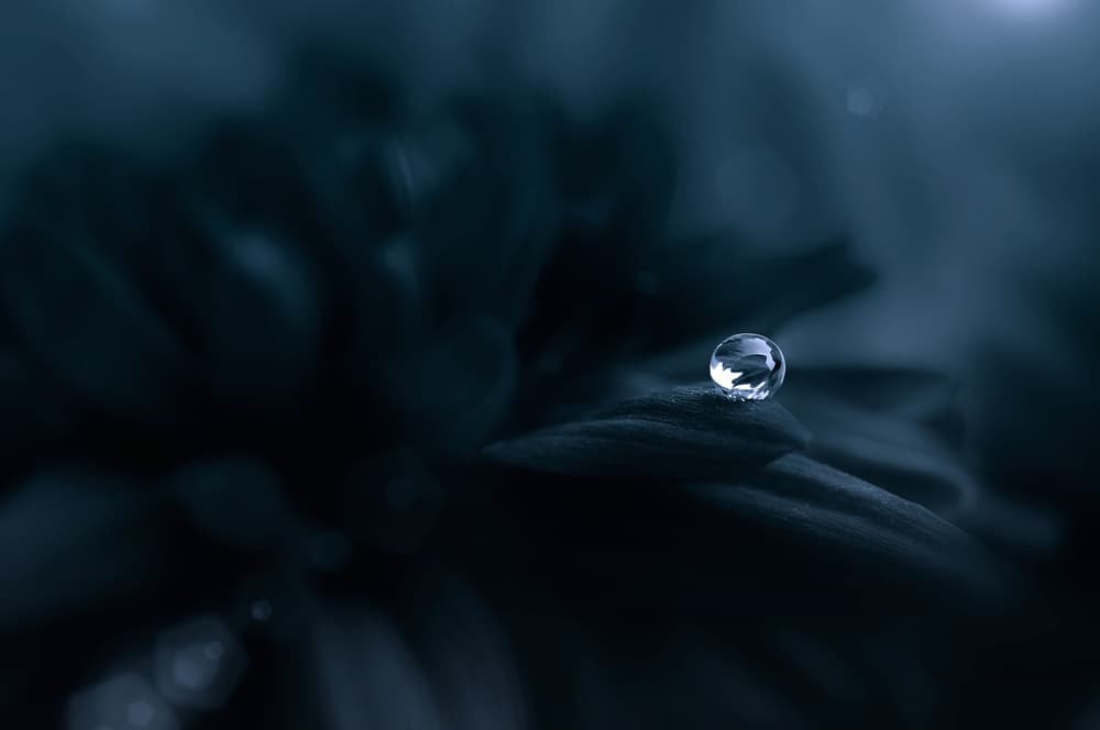 Serene Water Droplet by Edy Pamungkas — canvas wall art