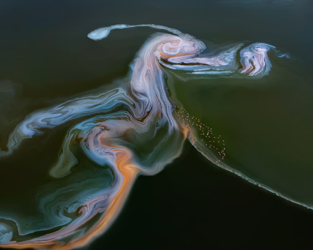 Swirling Flamingo Lake by Jun Zuo — canvas wall art