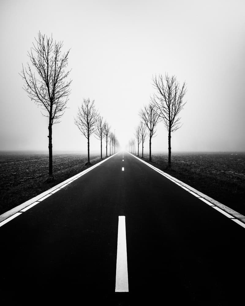 Long Misty Road by Christophe Staelens — canvas wall art