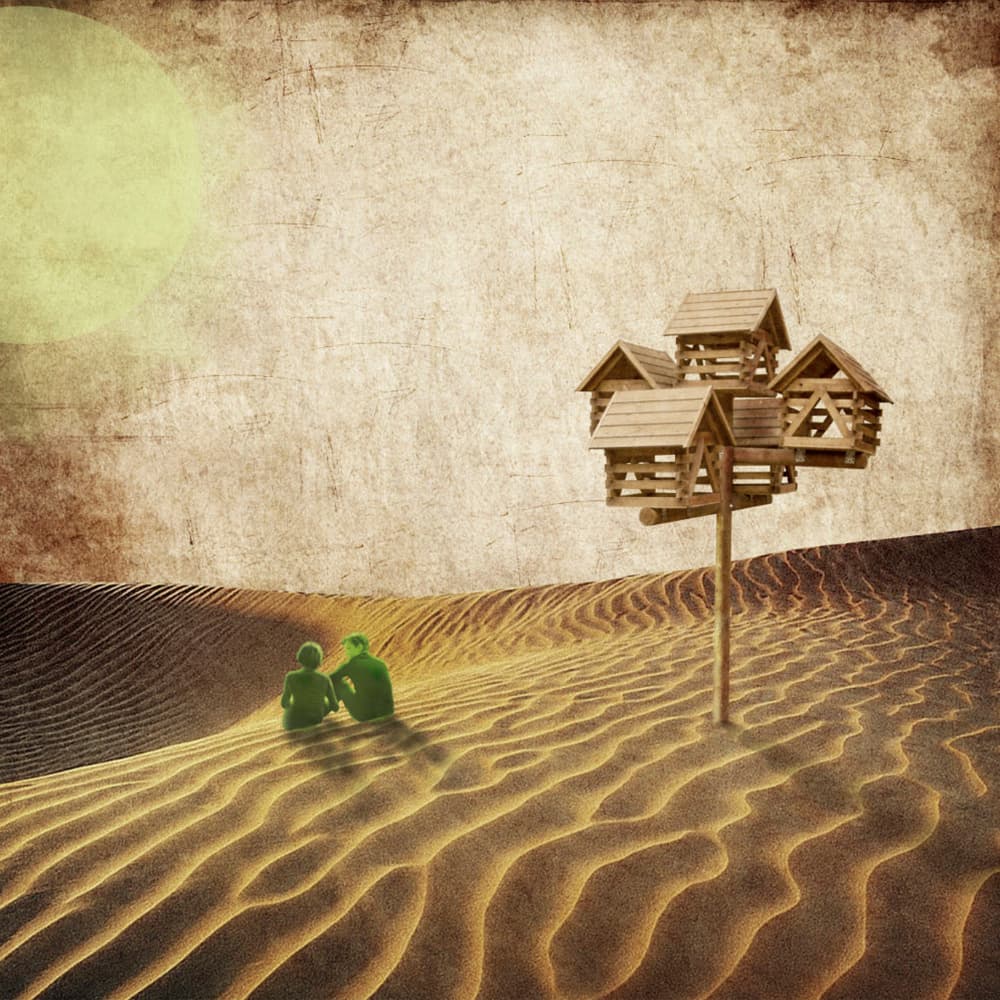 Desert Solitude Birdhouse by Evgenii Novichikhin — canvas wall art