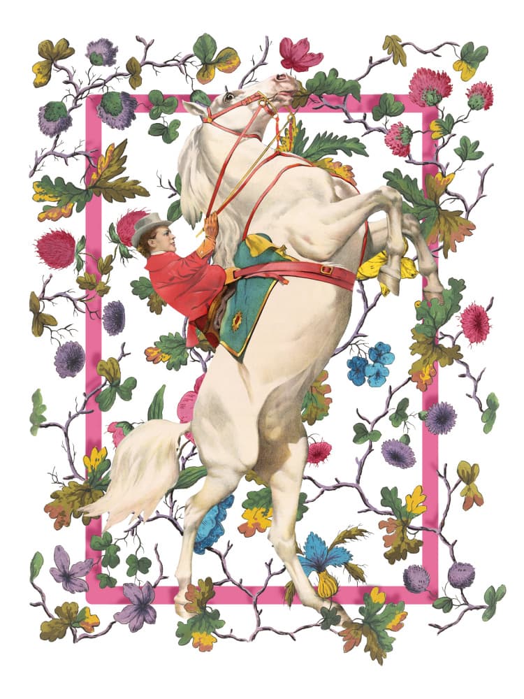 Floral Rococo Equestrian