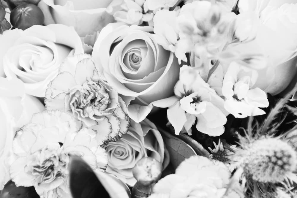Elegant Black And White Blooms by Jemma Morris — canvas wall art