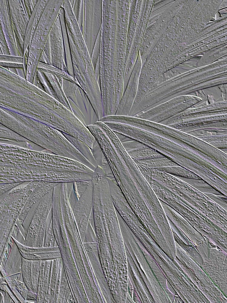 Textured Botanical Leaves by Santhosh ch — canvas wall art