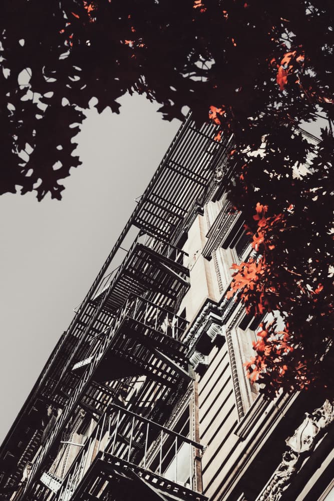 New York City Autumn by Rikard Martin — canvas wall art
