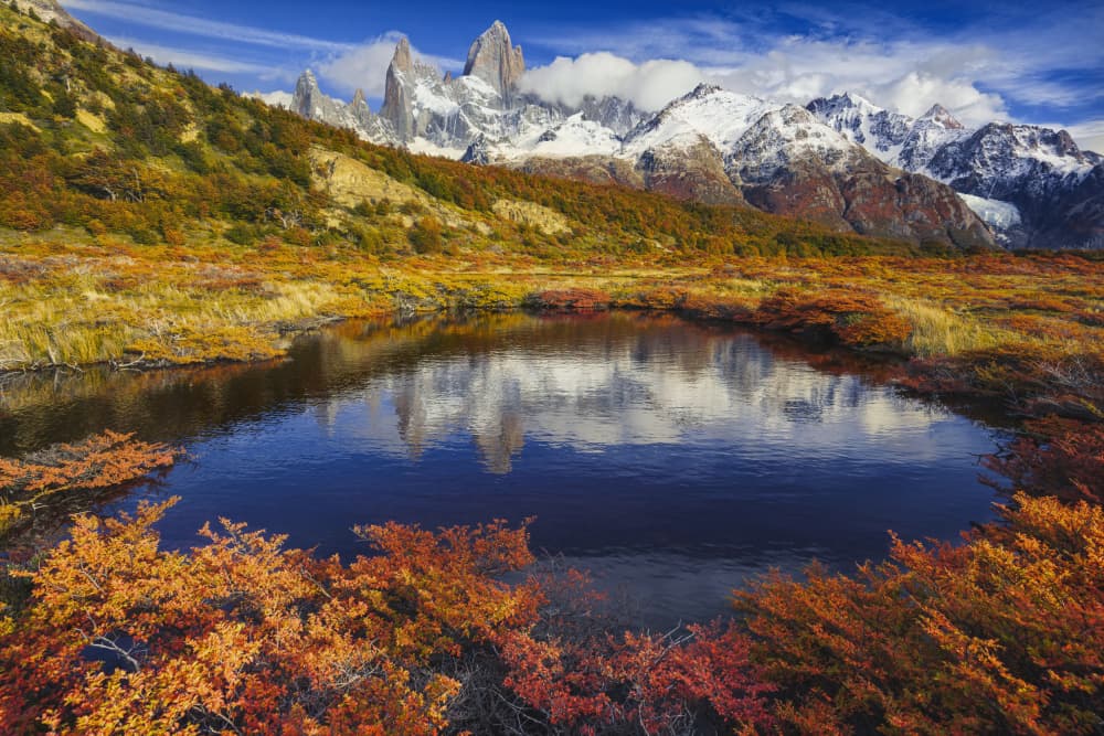 Mount Fitz Roy Autumn Reflection by mihai ian nedelcu — canvas wall art