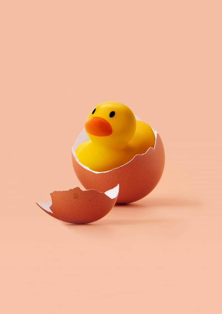 Hatched Rubber Duck