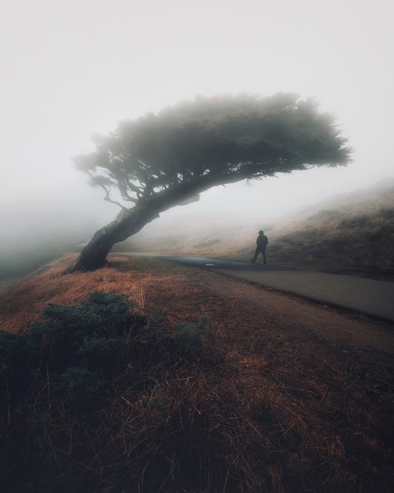 Misty Path Lone Figure by David George — canvas wall art