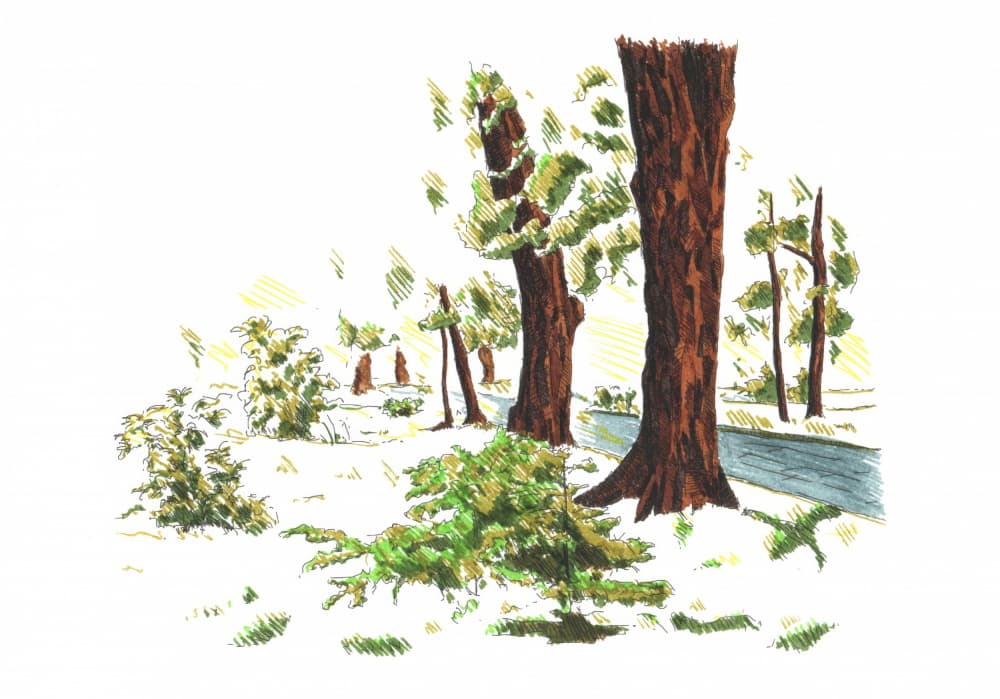 Quiet Winter Woods by Kulik — canvas wall art