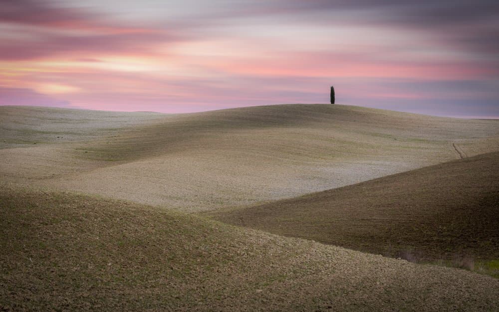 Solitary Tree At Sunset by Sergio Barboni — canvas wall art