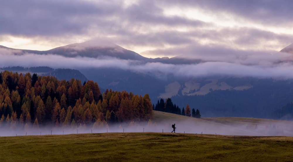 Misty Autumn Mountain Hike by Liz Fang — canvas wall art