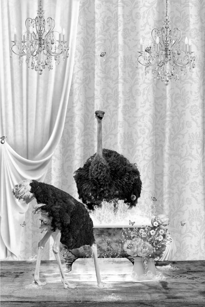 Whimsical Ostrich Bathtub by Sue Skellern — canvas wall art