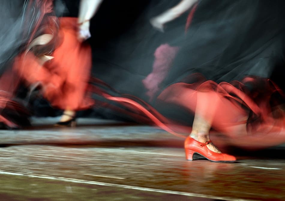 Flamenco In Motion by Izidor Gasperlin — canvas wall art