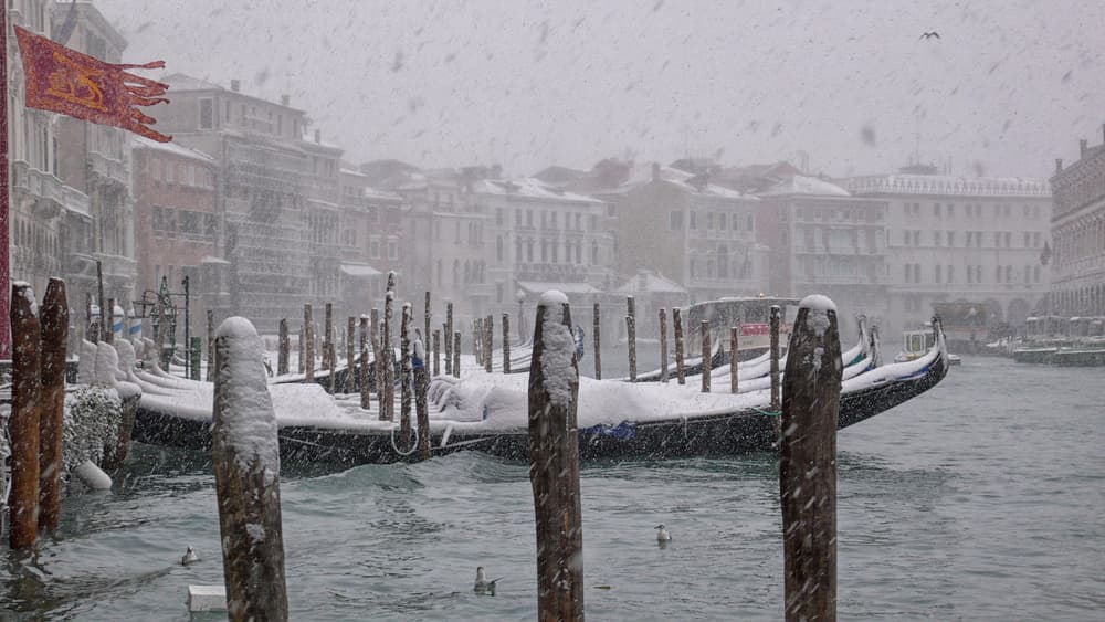 Snowy Venice Gondolas by Izabella Végh — canvas wall art