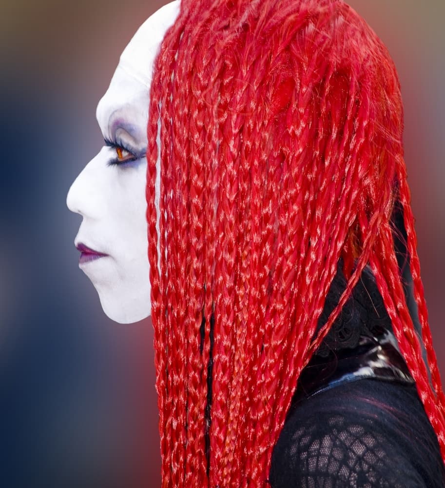 Striking Red Braids Portrait by Wayne Pearson — canvas wall art