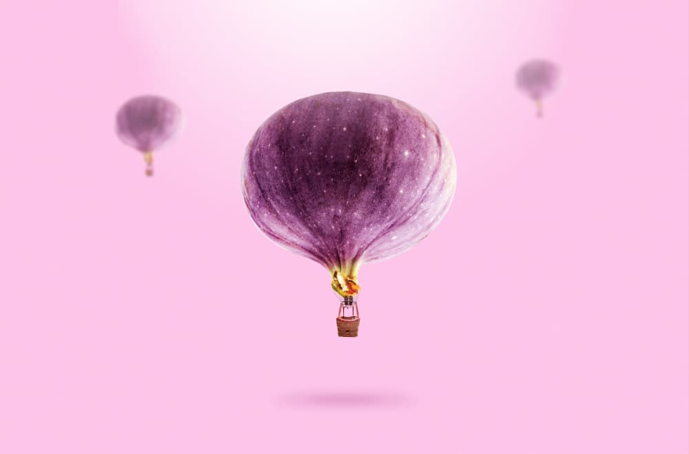 Floating Fig Balloons by Artem Pozdniakov — canvas wall art