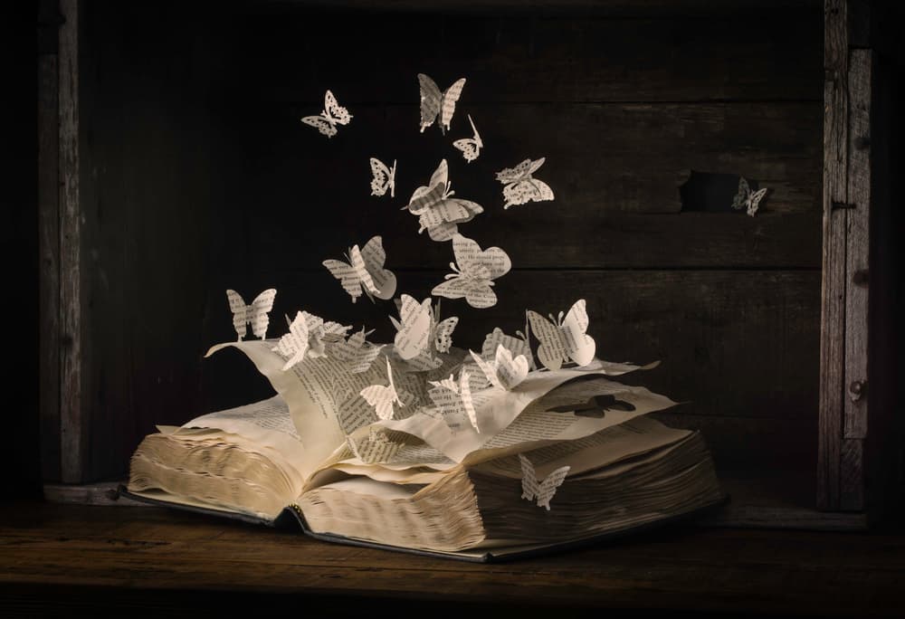 Enchanted Book Pages by Heather Bonadio — canvas wall art