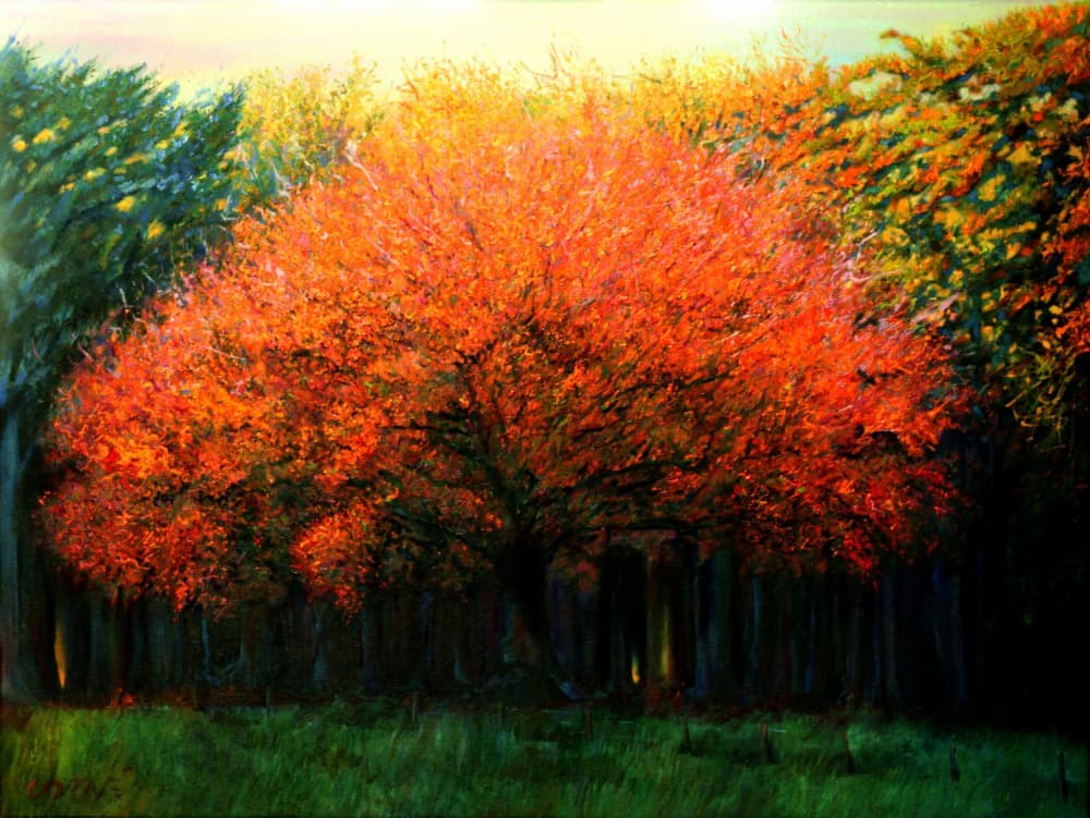 Vibrant Fall Tree by Corné Akkers — canvas wall art