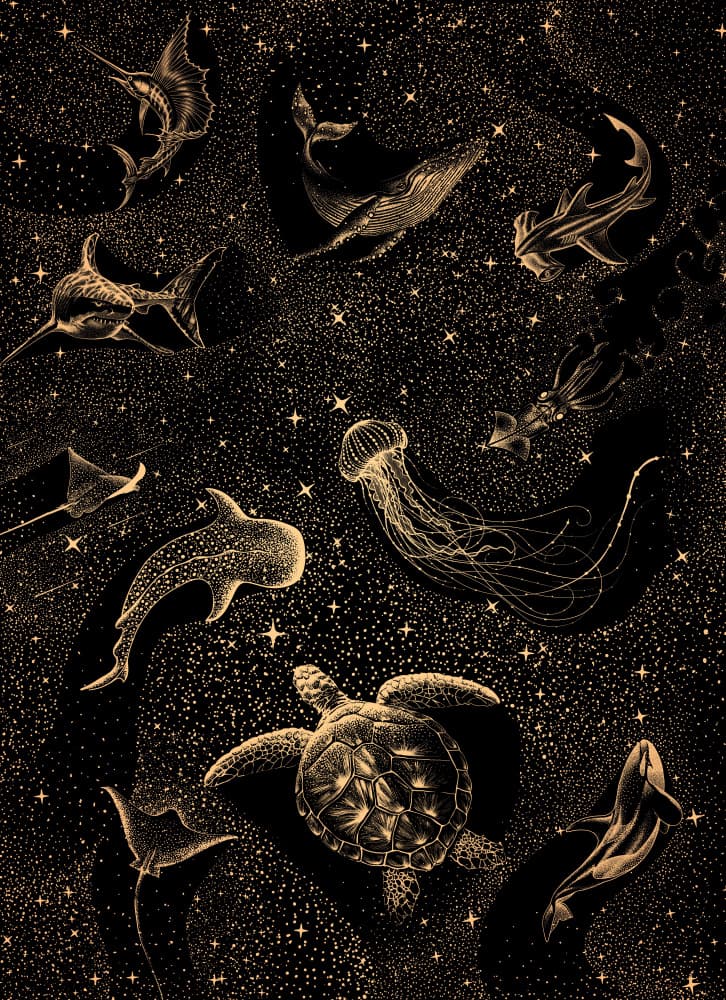 Marine Life Galaxy by Alirıza ÇAKIR — canvas wall art