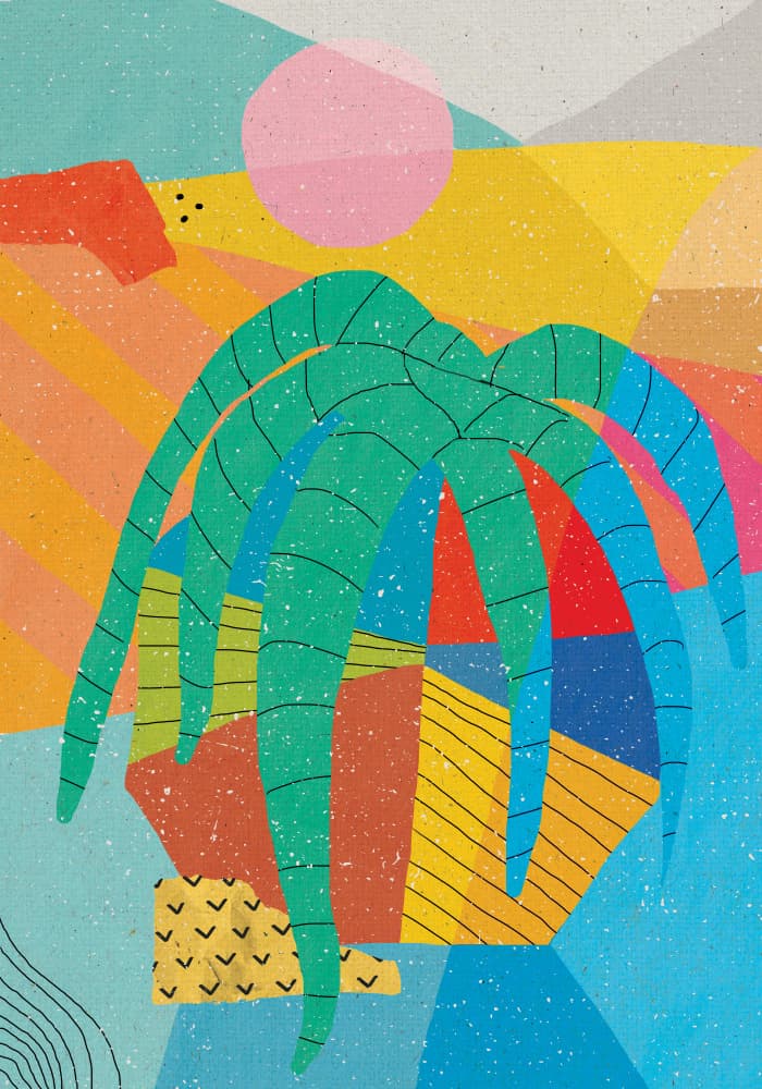 Colorful Desert Palm by Aylin Demir — canvas wall art