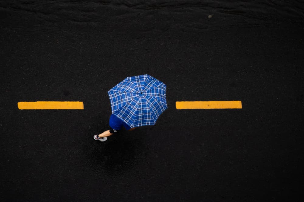 Walking in the Rain by Dzintra Zvagina — canvas wall art