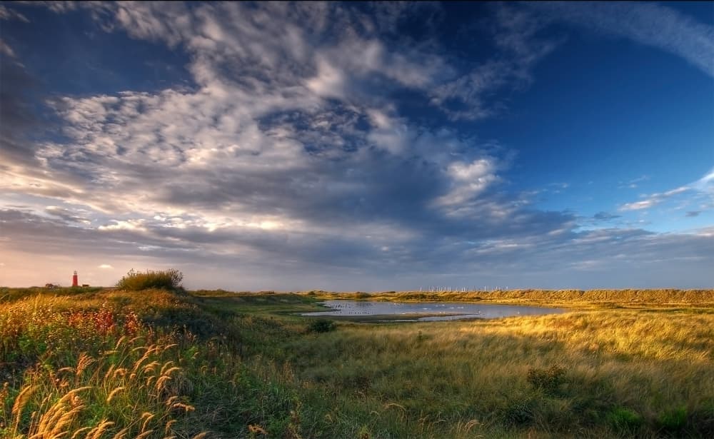 Lighthouse On Golden Marsh by Leon — canvas wall art