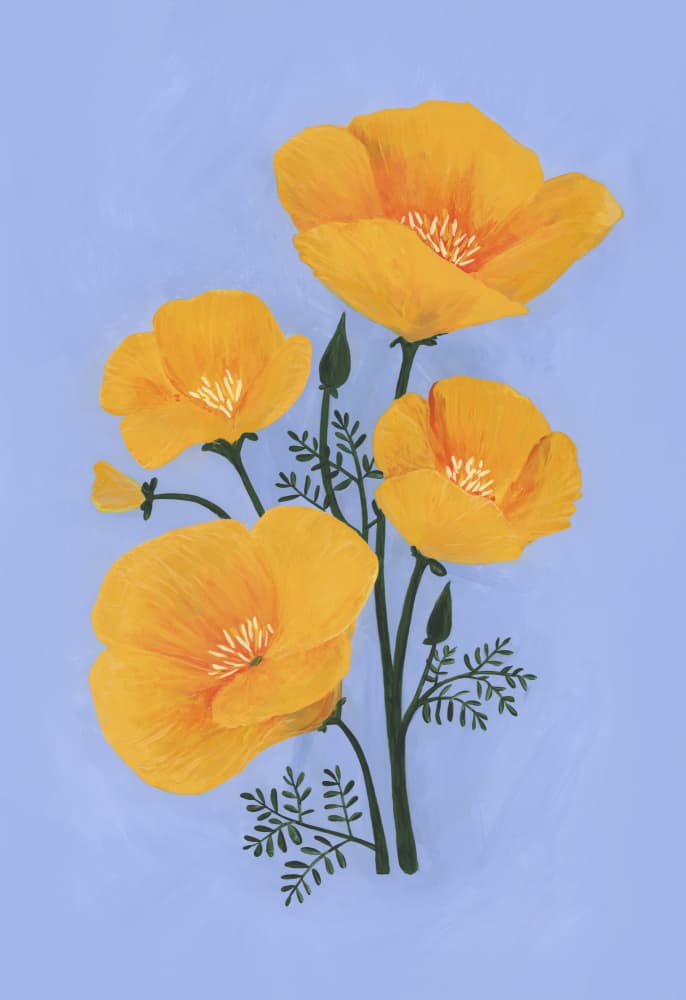 Golden Poppies on Blue by Rosana Laiz Blursbyai — canvas wall art