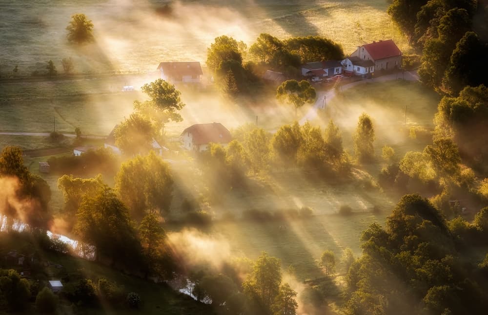 Golden Morning Mist by Piotr Krol (Bax) — canvas wall art
