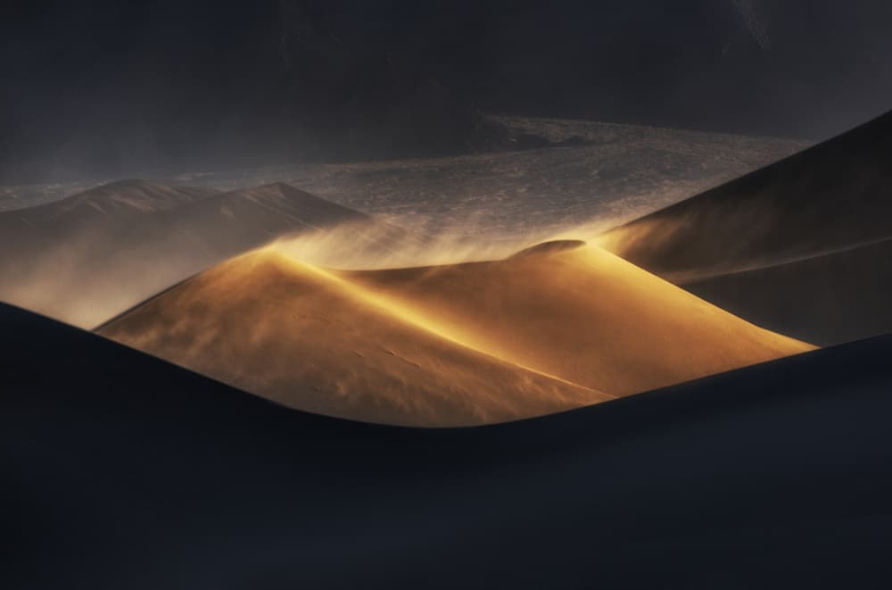 Golden Desert Dunes by Dianne Mao — canvas wall art
