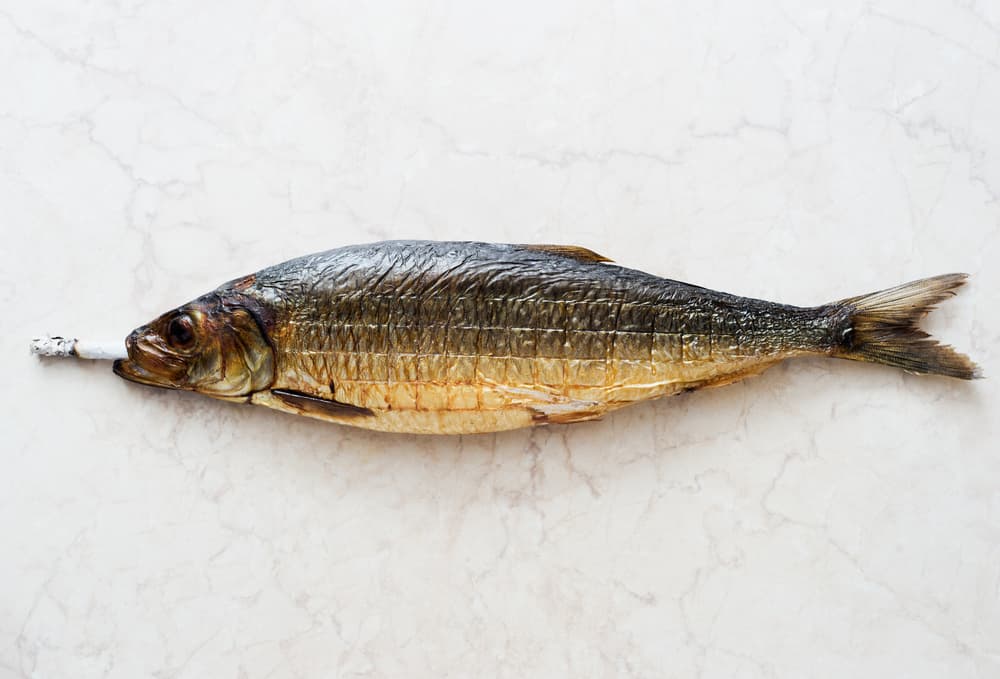 Smoking Fish by Karina Aleksandrova — canvas wall art