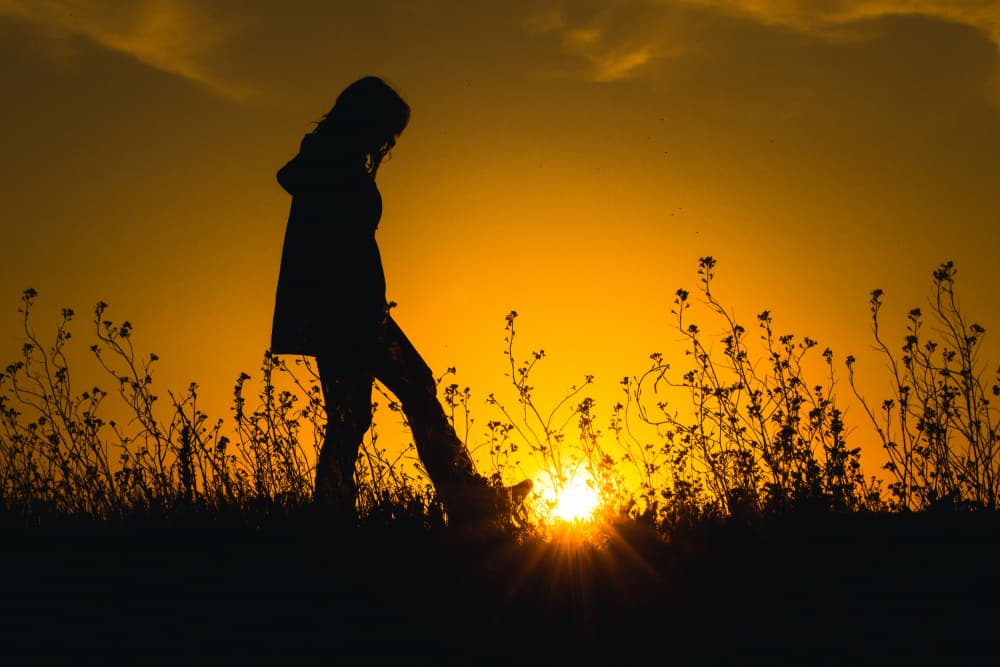 Golden Hour Silhouette by Adrian — canvas wall art