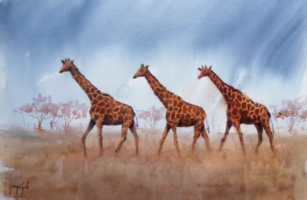 Safari Giraffe Trio by Giorgio Gosti — canvas wall art