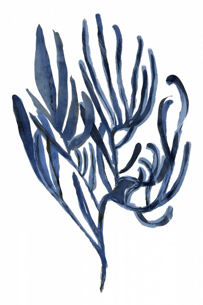 Deep Blue Sea Flora by cartissi — canvas wall art