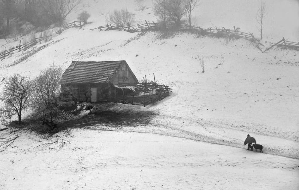 Rural Winter Journey by Sorin Tanase — canvas wall art