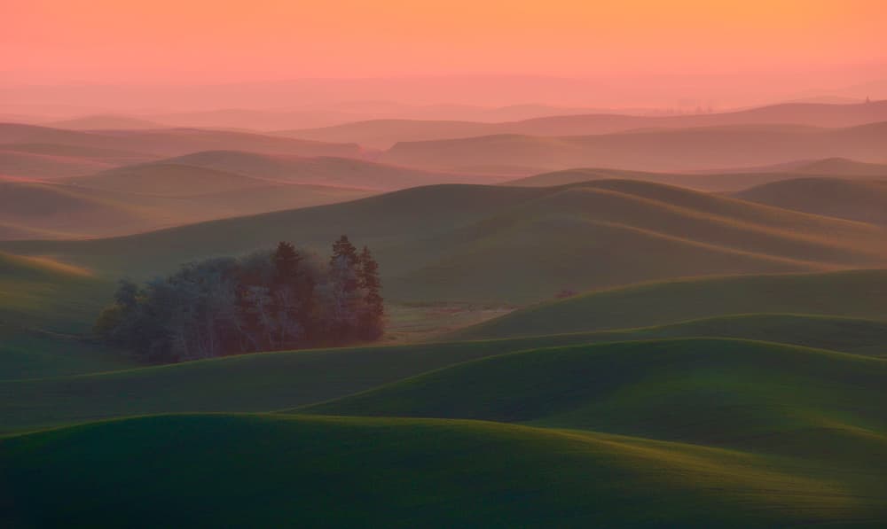 Misty Rolling Hills Sunset by Naphat Chantaravisoot — canvas wall art