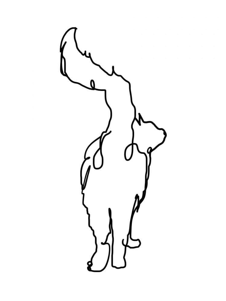 Curious Cat Line Art by Hanna Lee Tidd — canvas wall art