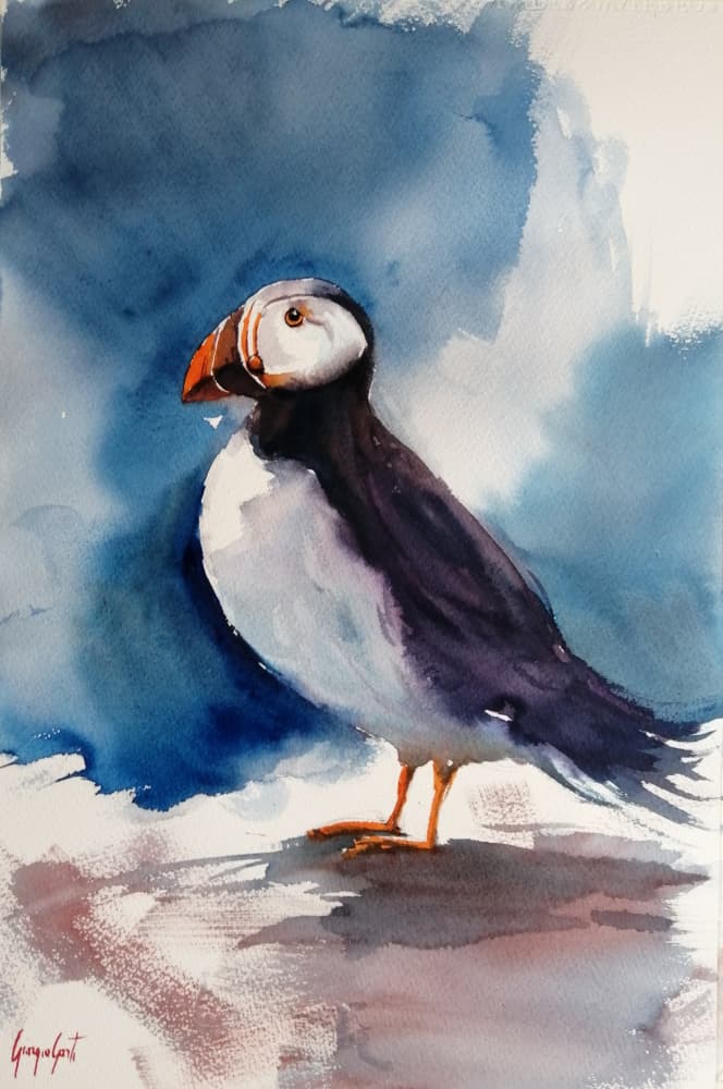 puffin 2 by Giorgio Gosti — canvas wall art