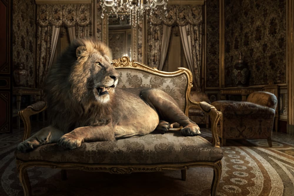 Majestic Lion Luxury Room by Marcel Egger — canvas wall art