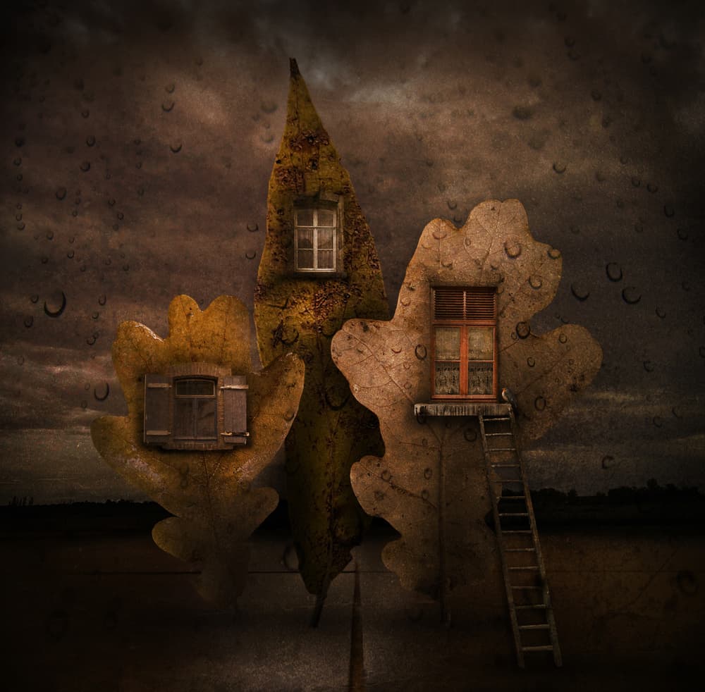 Autumn Leaf Homes by Muriel Vekemans — canvas wall art