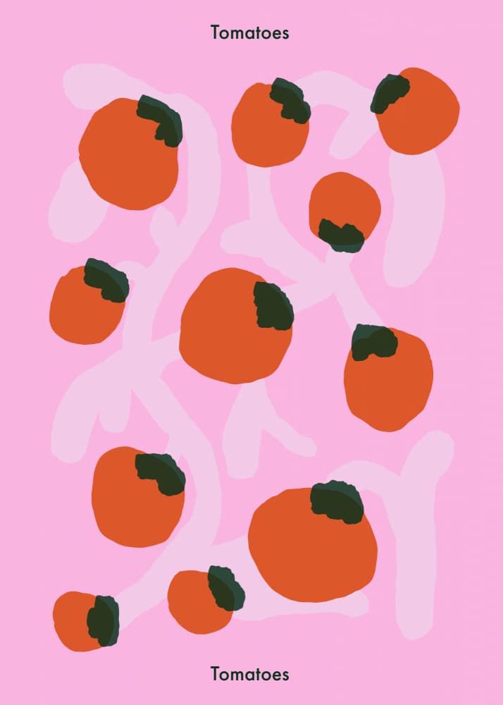 Fresh Pink Tomatoes by Emma Make — canvas wall art