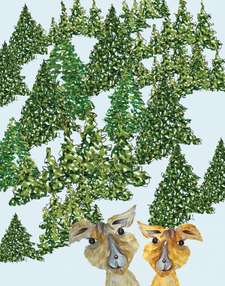 Curious Forest Critters by Breanna Megan Studio — canvas wall art