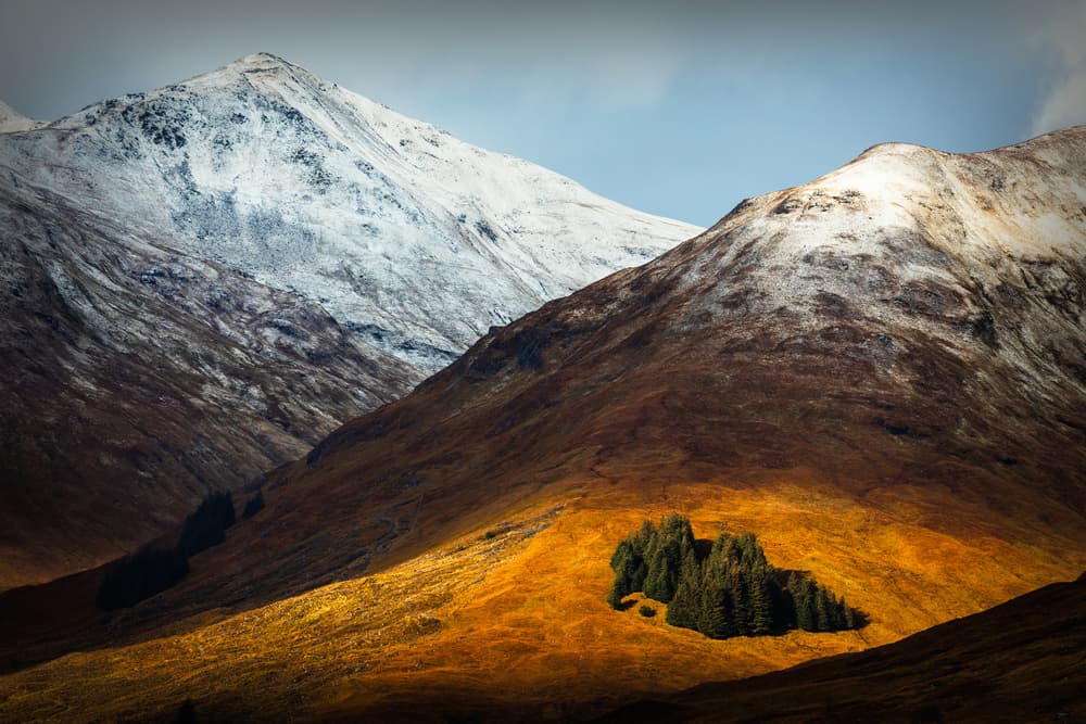 Snowy Mountains Golden Light by Adrian Popan — canvas wall art