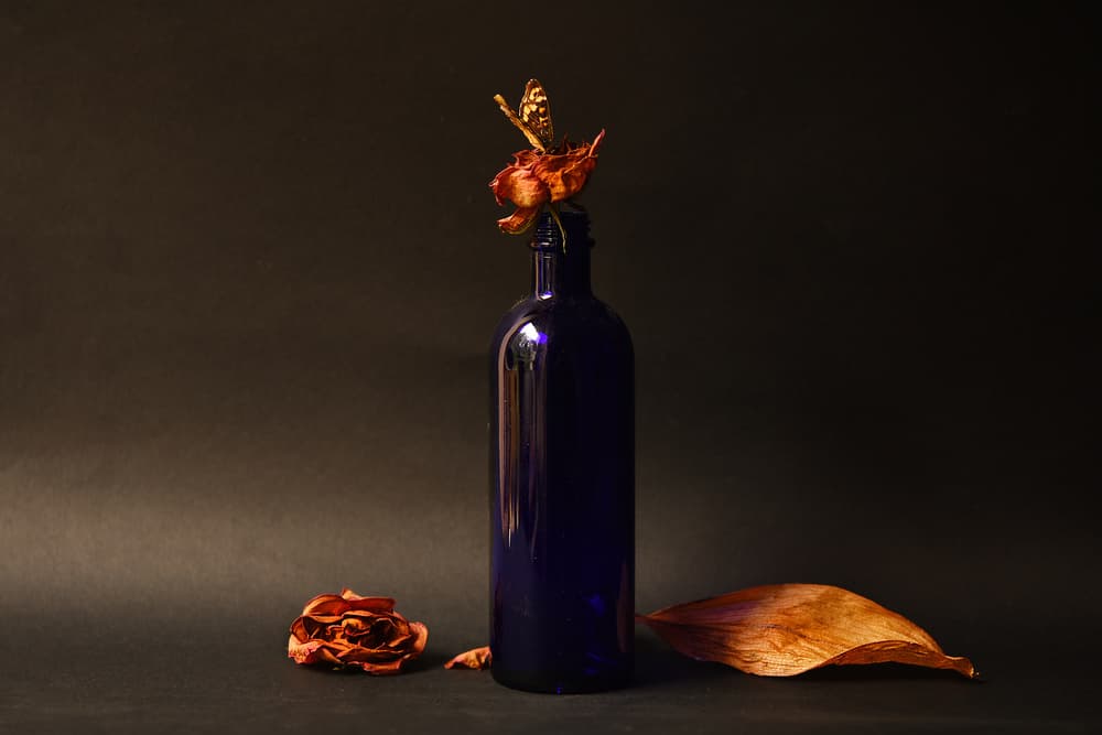 Dried Rose Blue Bottle by Ludmila Shumilova — canvas wall art