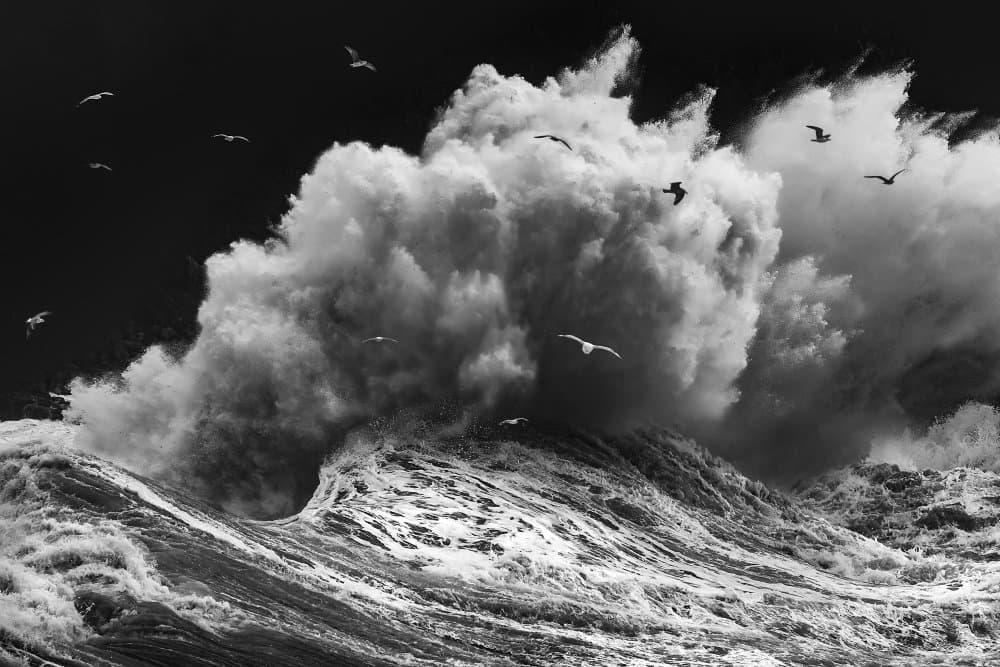 BIRDS IN THE STORM (Part 1) by Paolo Lazzarotti — canvas wall art