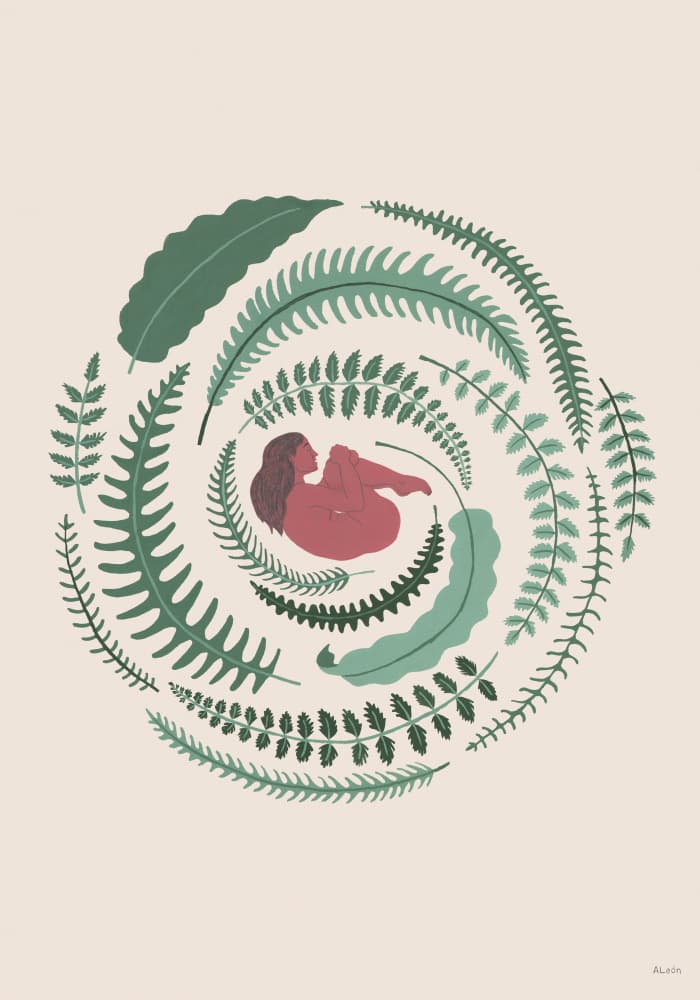 Botanical Cocoon by Amanda Leon — canvas wall art