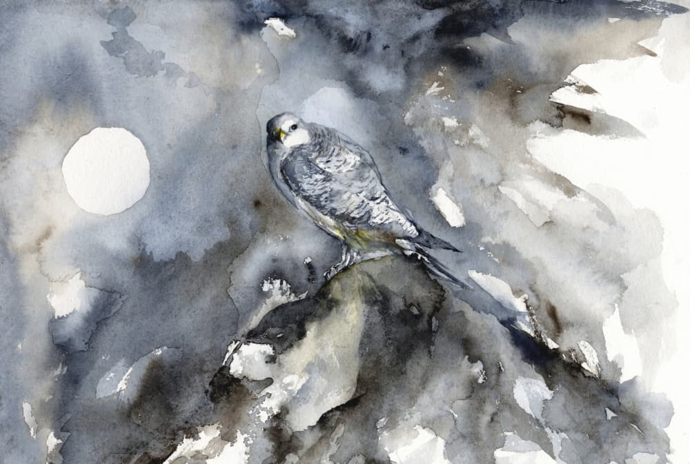 Moonlit Falcon Watch by RodMacIver — canvas wall art