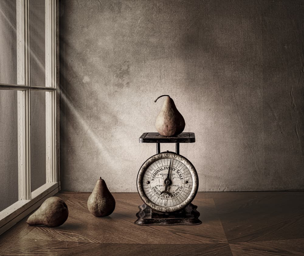 Vintage Pears and Scale by Rob Ryan — canvas wall art