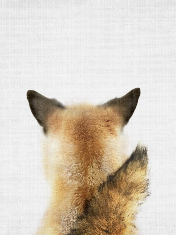 Red Fox Back by Lila &amp; Lola — canvas wall art